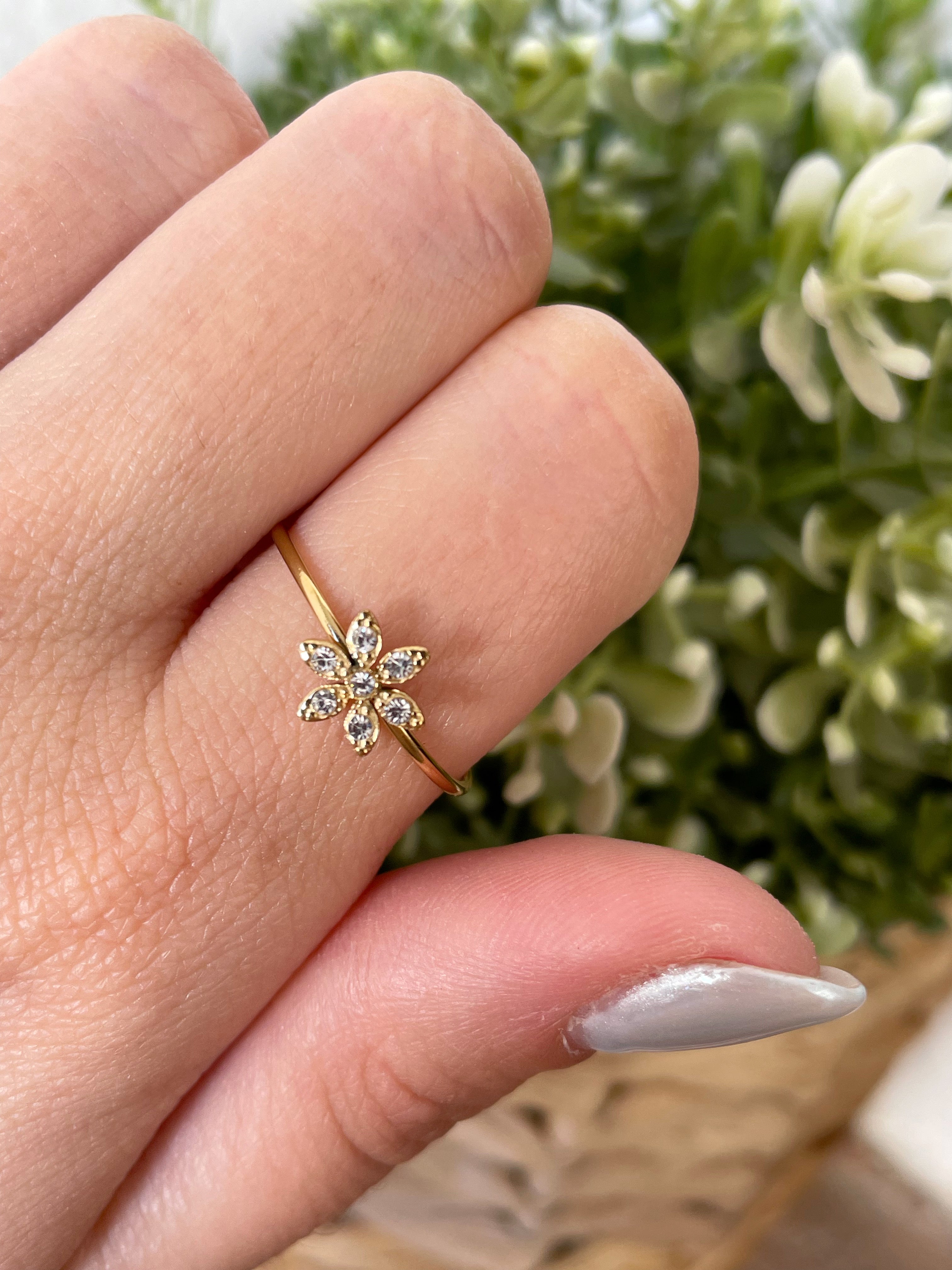 Flor circonitas