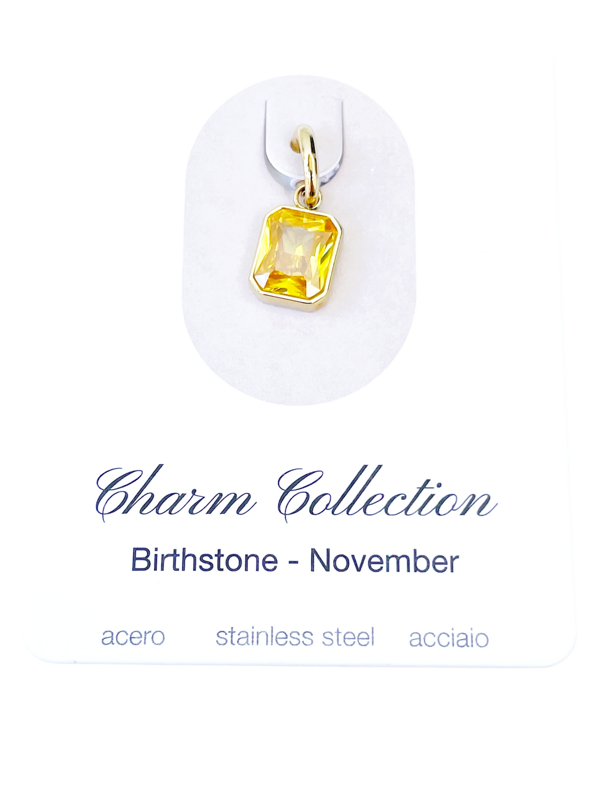 Charm nacimiento noviembre